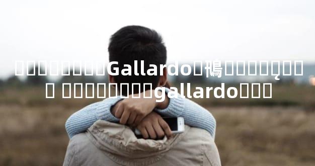 ��������Gallardo�鳵����ƽ̨�۸� ��������gallardo�۸�
